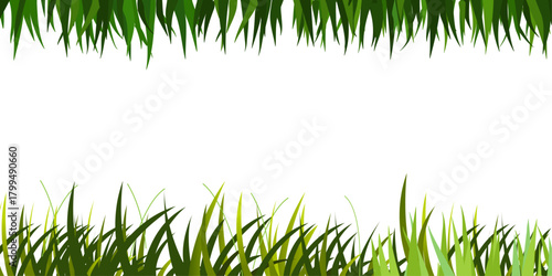 green grass frame. Green grass frame and border isolated on a white background with a fresh natural meadow look