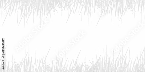 grass on white background. Vector silhouette of grass on white background.
