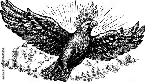 Vintage black and white illustration of a phoenix bird flying among clouds. Detailed outline drawing captures its mythical essence in this artwork vector.