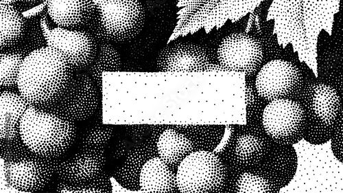 Antique engraving of fruits and leaves. Hand-drawn monochrome vector illustration in stipple technique with intricate details.