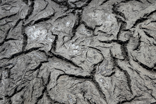 Photography Dried cow dung cracked by heat