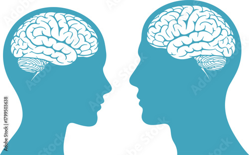 Human brain anatomy, male and female head silhouette, neuroscience concept, cerebrum and cerebellum illustration, gender difference, medical science, psychology, cognition