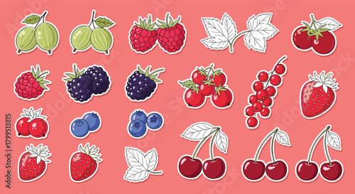 A vibrant collection of various fresh berries and fruits, designed as cute stickers with white borders on a solid pink background.