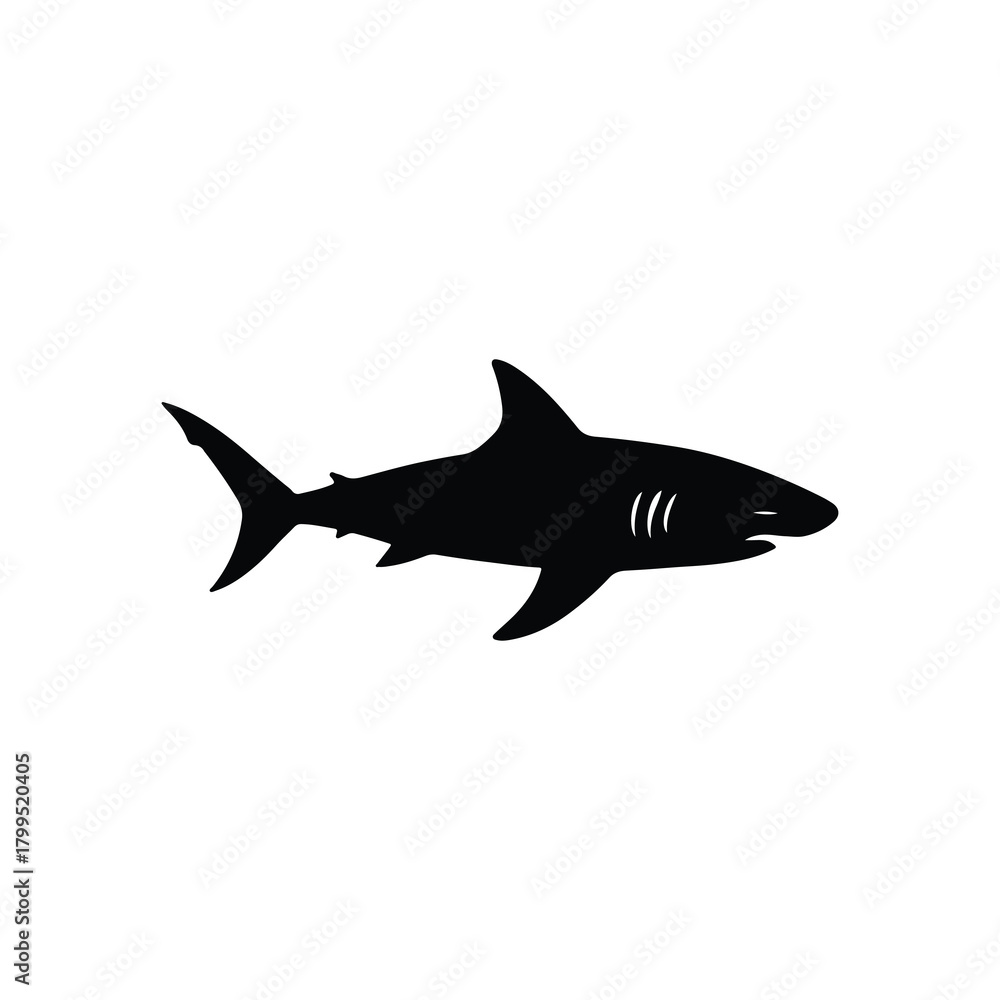 Naklejka premium Great white shark vector illustration on white background