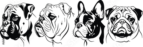 Dog breed head vector set, black and white illustration, stylized pet face design, popular canine graphic, animal character template, breed icon