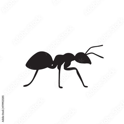 Ant isolated on a white background in a close-up view