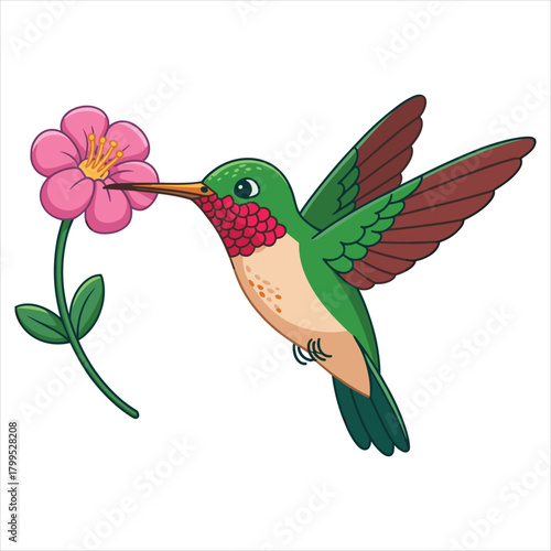 Cartoon hummingbird feeding nectar from a vibrant pink flower isolated on white background, Vector, illustration