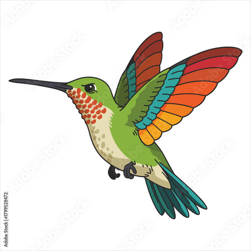 Colorful flying hummingbird illustration with spread wings art isolated on white background, Vector, illustration