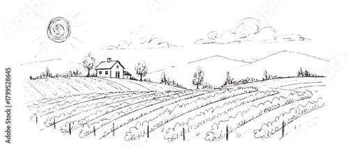 A black and white drawing of a farm with a house and a barn. The sun is shining on the land, and there are trees in the background