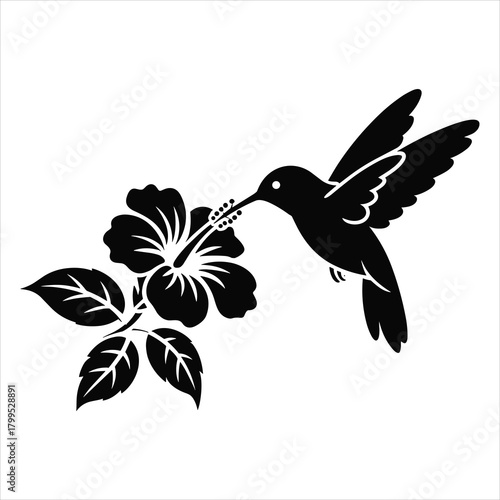 Hummingbird feeding on hibiscus flower vector outline artwork isolated on white background, Vector, illustration