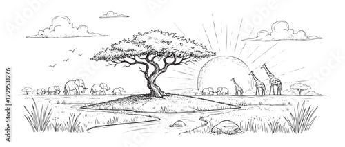 A black and white drawing of a savanna with a tree and a giraffe. The sun is setting in the background