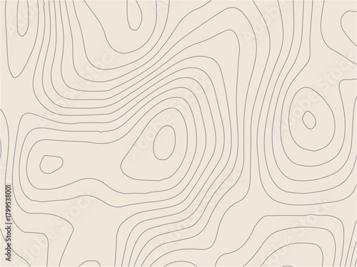 abstract topographic wave line black, white line map texture. geometric discovery mounted location counter grid map background. White wave paper curved reliefs abstract background. The topographic map