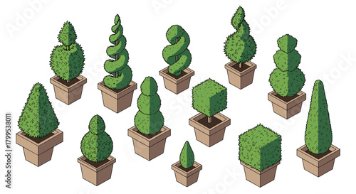 Inspiring topiary plants collection offering garden design inspiration for landscaping projects and adding character to outdoor spaces so creatively