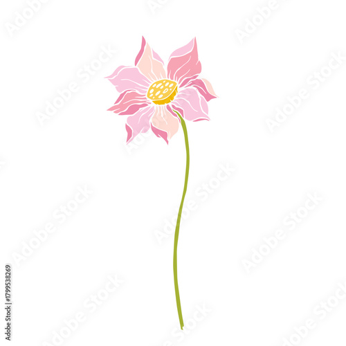 Colorful aquatic plant, lotus flower. Decorative botanical element. Vector graphics.