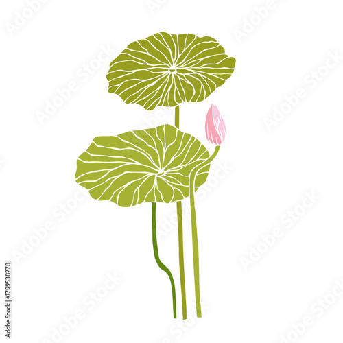 Colorful aquatic plant, lotus flower. Decorative botanical element. Vector graphics.