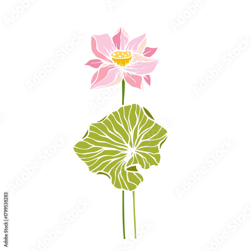 Colorful aquatic plant, lotus flower. Decorative botanical element. Vector graphics.