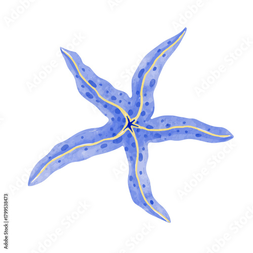 Colorful starfish, decorative marine elements. Vector graphics.