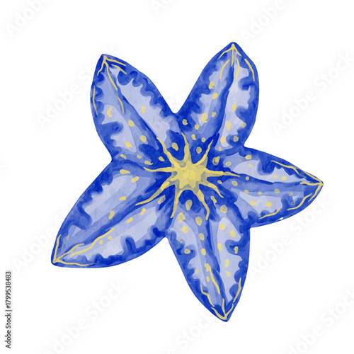 Colorful starfish, decorative marine elements. Vector graphics.