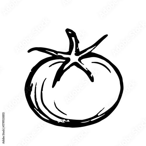 Sketch, doodle of a tomato vegetable. Vector graphics.