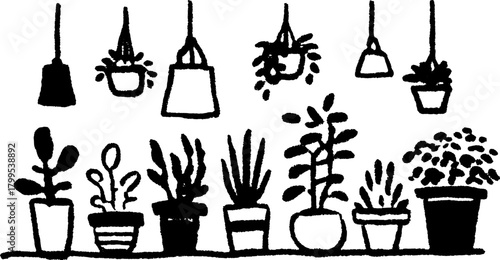 Indoor garden with various potted plants in a minimal style. Simple black vector illustration showcasing hanging pots and greenery set.