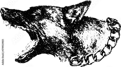 Dog hound's head roaring in vintage sketch style. Aggressive expression with detailed outline, showcasing a dramatic vector illustration.