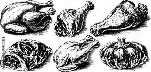 Chicken and meat illustrations. Vintage hand-drawn design features various cuts in black outline vector style for a cohesive set.
