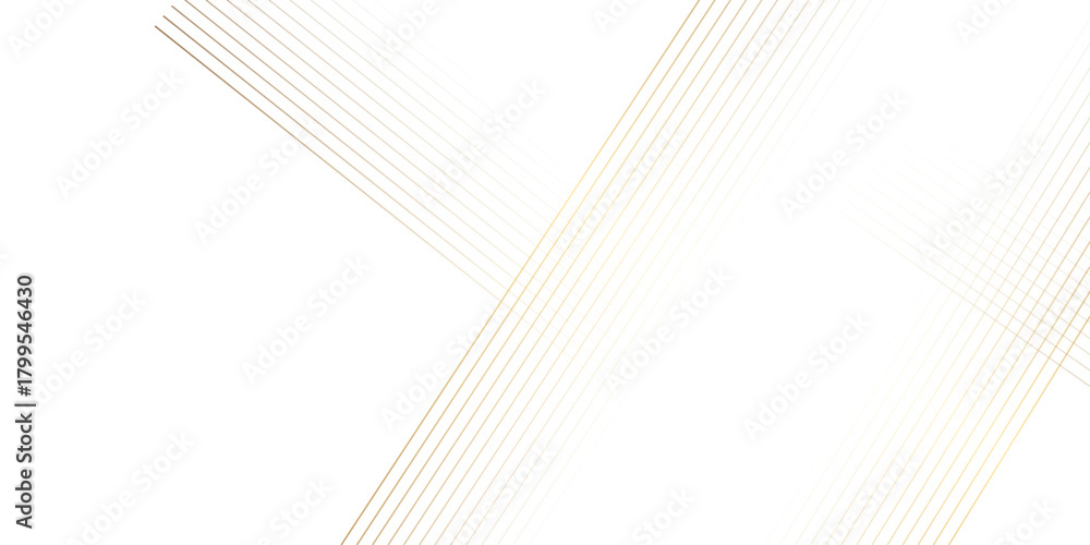 Fototapeta premium Vector gradient gray line abstract pattern monochrome striped texture, minimal background. Abstract background wave line elegant white striped diagonal Slash line background with diagonal lines black.