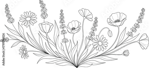 Stylized floral bouquet line art with poppies, daisies, and lavender stems for coloring, tattoo, botanical, and decorative design use