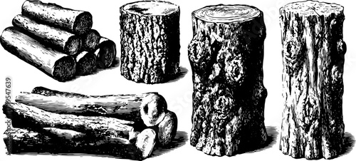Logs and wooden pieces in vintage engraving style. Black outline and stipple texture create a detailed vector illustration.
