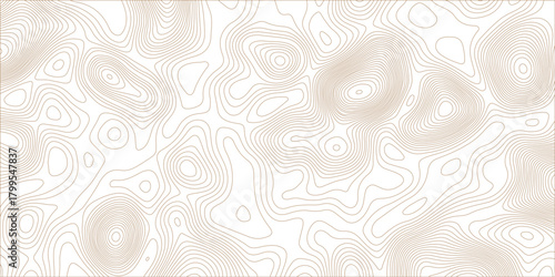 Seamless vector Easter background pattern with vintage eggs, floral design, and delicate lace border. art, swirl, paper, grunge, frame, decor, curl, light, card, backdrop, ornament, decoration, flower