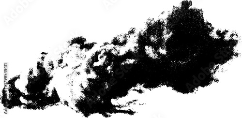 Engraving print in black and white. Antique hand-drawn silhouette with stipple texture. Vintage vector illustration set showcasing retro design elements.