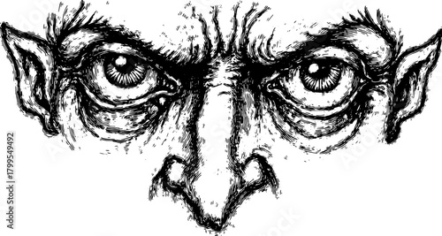 Engraving art featuring a vintage outline of a face. Detailed black and white illustration in retro style vector.