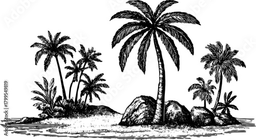Vintage illustration of palm trees and rocks on a tropical island. Black and white engraving art vector.