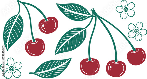 Red Cherries with Green Leaves and Outline Flowers on White Background cherry fruit