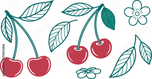 Red Cherries with Teal Leaves and Outline Flowers on White Background cherry fruit