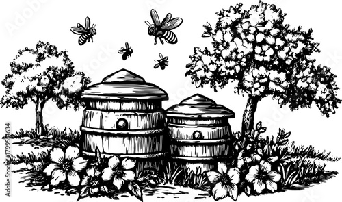 Beehives in a garden setting with trees and flowers. Vintage black and white vector illustration depicting a natural scene with bees.