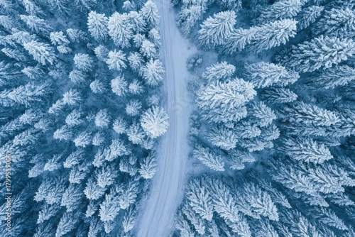 A drone aerial photo of the forest and the road covered with snow and frost, winter in the forest 