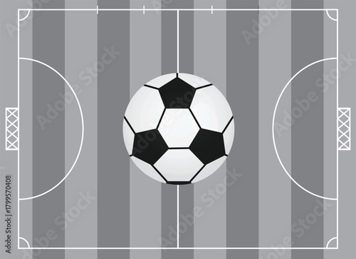 Futsal field and ball. vector	
