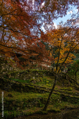紅葉の高源寺
