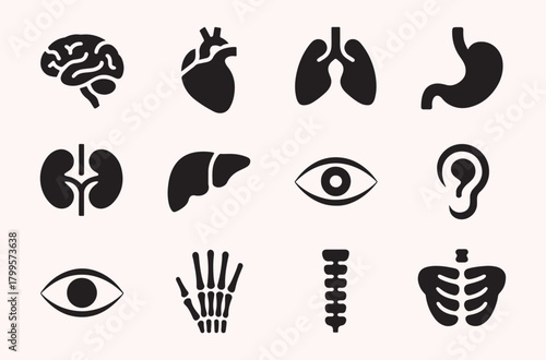 Human organ icon set