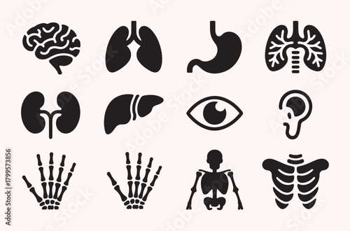 Human organ icon set