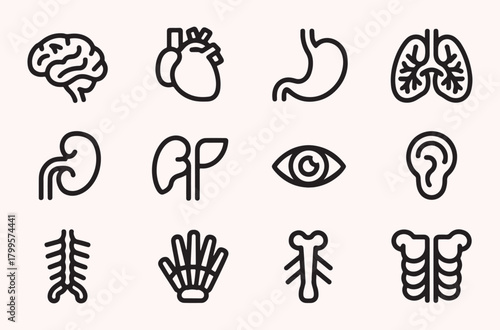 Human organ icon set