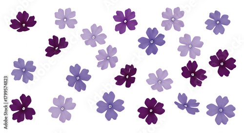 A scattering of delicate purple and lilac flowers on a white background, perfect for decorative purposes
