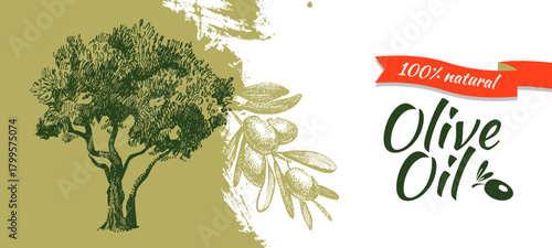 Vintage sketch olive oil banner. Extra virgin, farm product, Mediterranean cuisine, cosmetic, organic farm, packaging label, bottle sticker, menu header. Engraved hand drawn vector illustration.