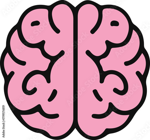 Pink Human Brain Anatomy With Two Cerebral Hemispheres Organ Of Central Nervous System Concept Education Of Intelligence Thinking Idea Mind Memory Intelligence Thinking