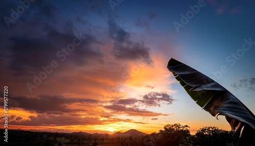 A Dramatic Sunset Sky With A Large Dark Banana Leaf In The Foreground