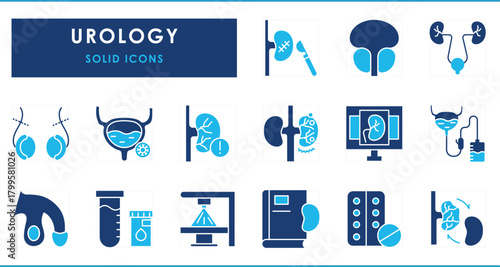 A set of flat icons related to Urology. Kidneys, Bladder, Prostate Gland, Catheter, Kidney Stones