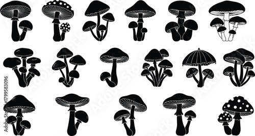 Large set of mushroom silhouettes, vector collection of black fungi, toadstools, and amanita, isolated for nature, fantasy, or Halloween design.