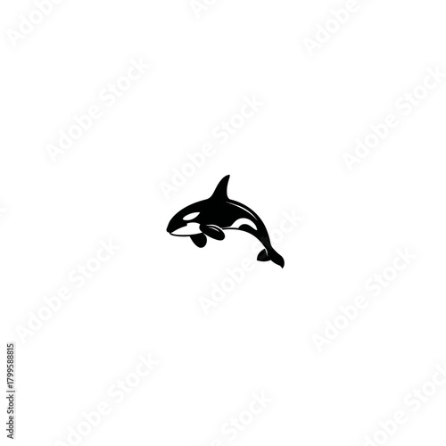 Minimalist black and white orca illustration. Stylized killer whale vector art for ocean, marine life, and aquatic themes.