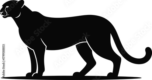 Panther vector illustration wildcat predator animal black silhouette